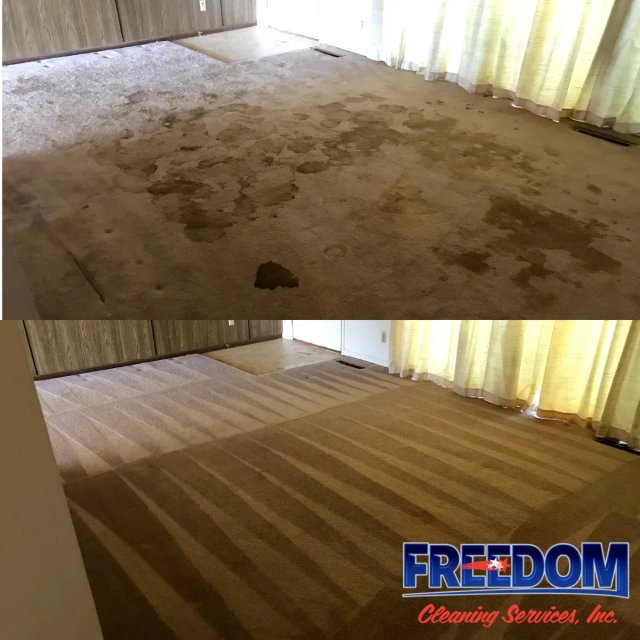 Carpet Cleaning project by Freedom Cleaning Services