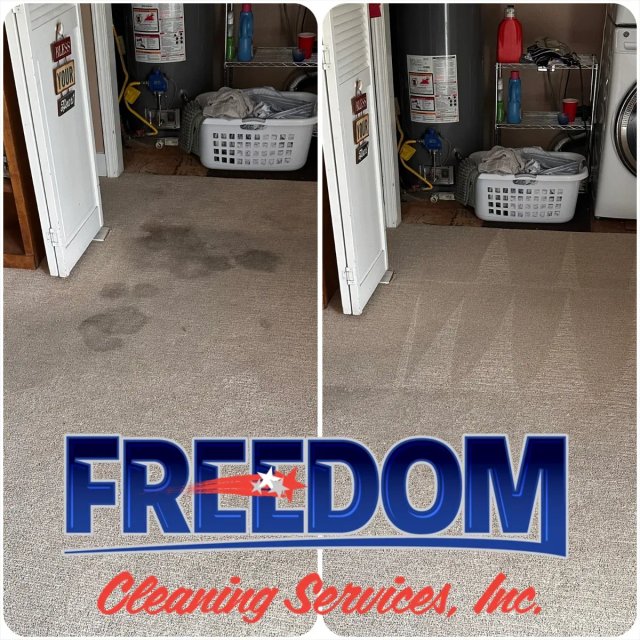 Carpet Cleaning project by Freedom Cleaning Services