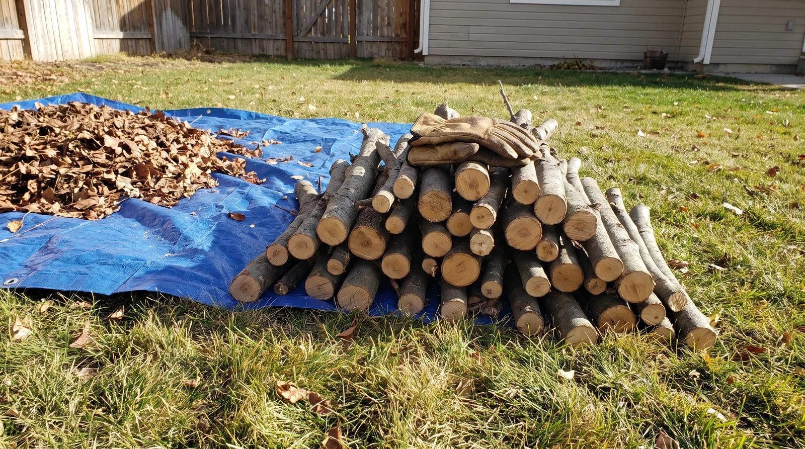 Cut branches stacked neatly beside a tarp of raked fall leaves in a Kuna, Idaho backyard, ready for yard waste removal