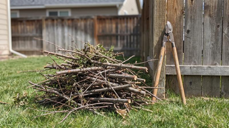 Cut branches and shrub trimmings stacked neatly on a backyard lawn beside a wooden fence in Meridian, Idaho.