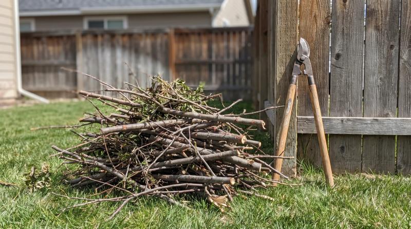 Cut branches and shrub trimmings stacked neatly on a backyard lawn beside a wooden fence in Meridian, Idaho.