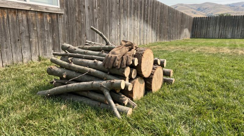Stacked tree branches and trunk rounds waiting for yard debris removal in a backyard in Caldwell, Idaho