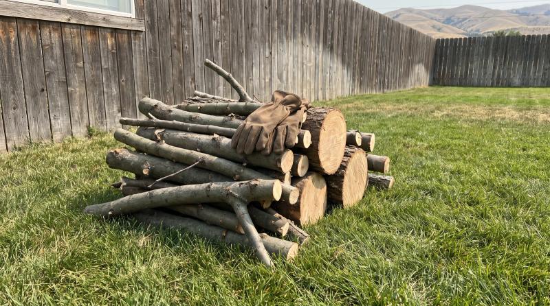 Stacked tree branches and trunk rounds waiting for yard debris removal in a backyard in Caldwell, Idaho