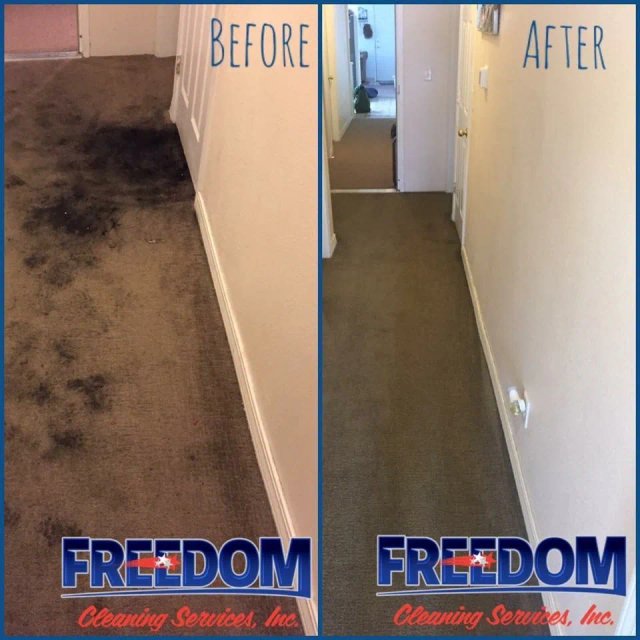 Freedom Cleaning Services work sample