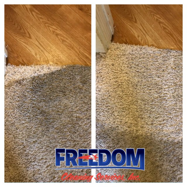 Freedom Cleaning Services work sample