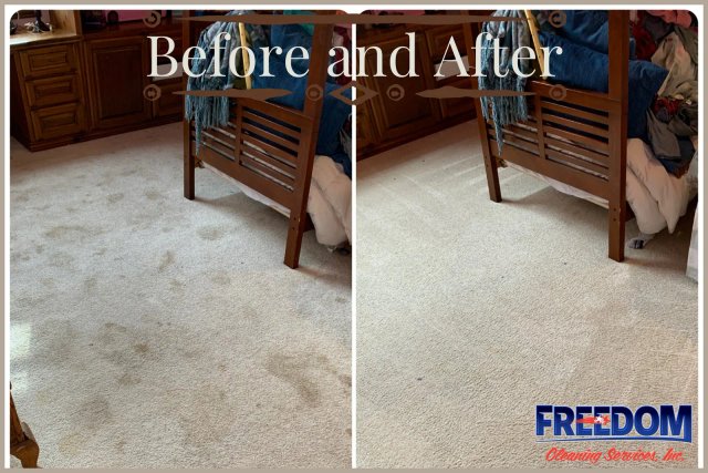 Before and after carpet cleaning comparison