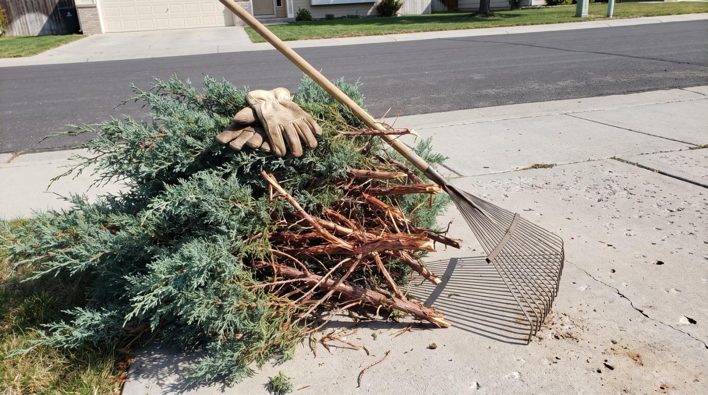 Stacked pile of cut juniper branches waiting for yard debris removal beside a home driveway in Eagle, Idaho, with a leaf rake and work gloves resting on it