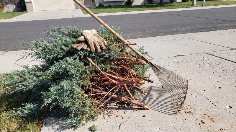 Stacked pile of cut juniper branches waiting for yard debris removal beside a home driveway in Eagle, Idaho, with a leaf rake and work gloves resting on it