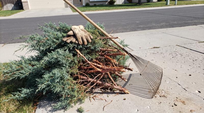 Stacked pile of cut juniper branches waiting for yard debris removal beside a home driveway in Eagle, Idaho, with a leaf rake and work gloves resting on it