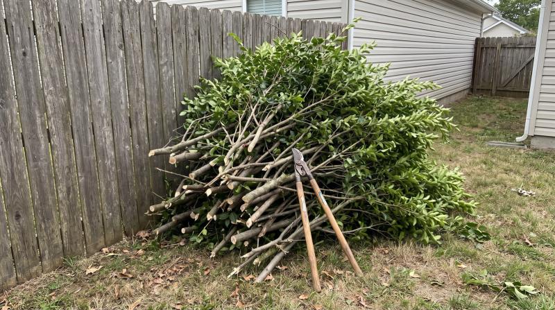 Pile of cut branches and hedge trimmings stacked against a weathered wooden fence in a Boise backyard, with loppers leaning on the pile