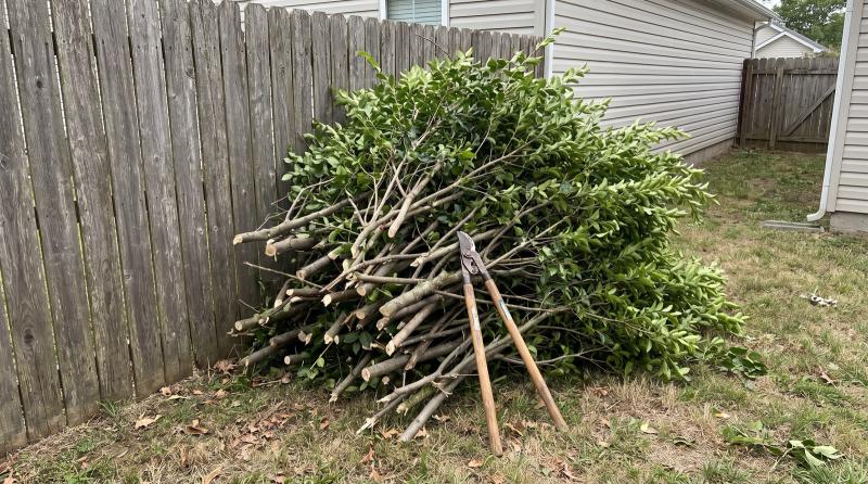 Pile of cut branches and hedge trimmings stacked against a weathered wooden fence in a Boise backyard, with loppers leaning on the pile