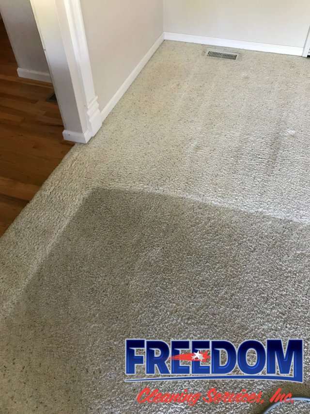 Freedom Cleaning Services work sample