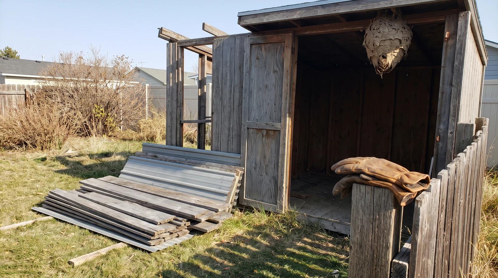 Weathered wooden shed in an Emmett, Idaho backyard with an old paper wasp nest under the eave before shed removal