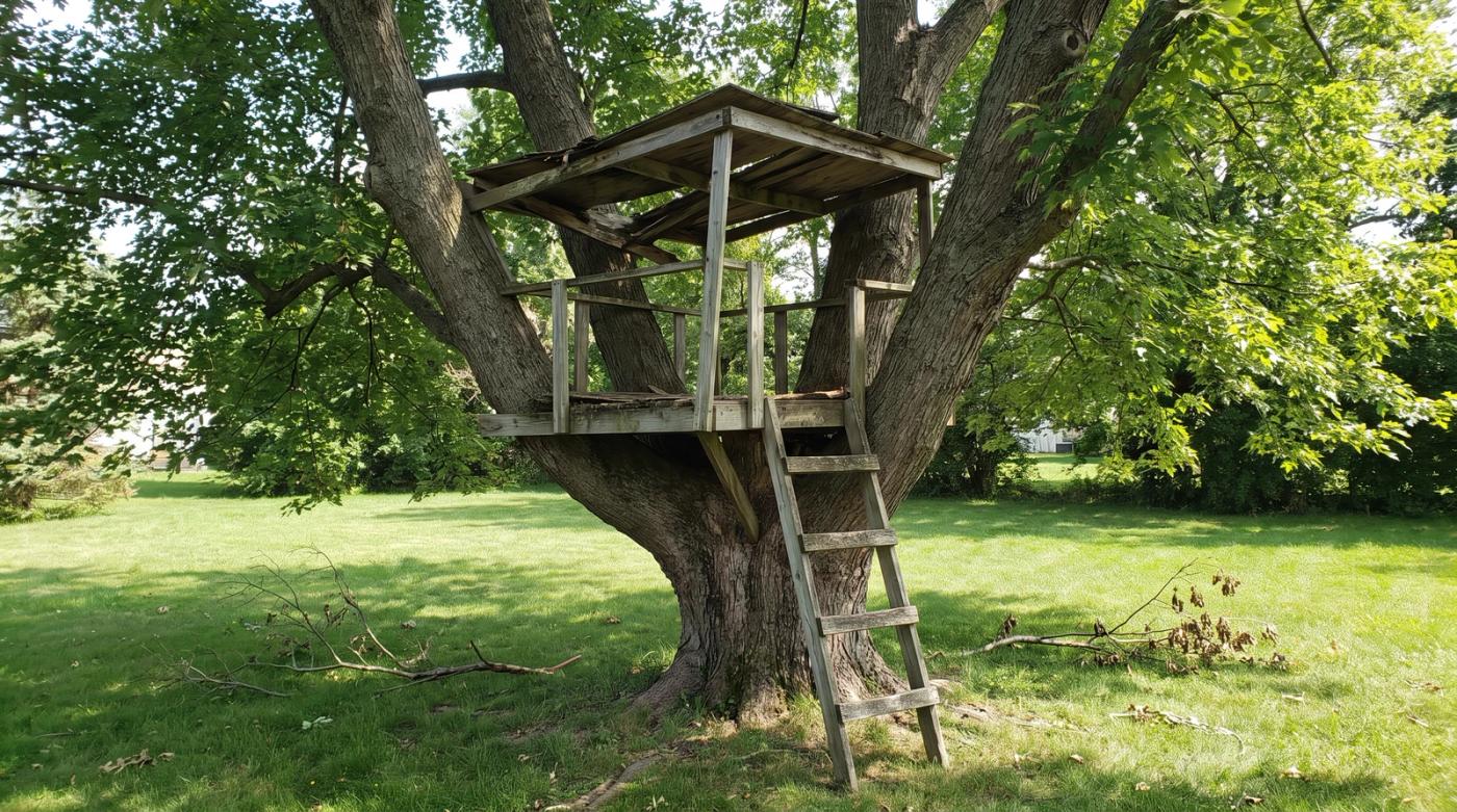 Old weathered wooden treehouse in a mature maple tree in a Boise, Idaho backyard, ready for removal