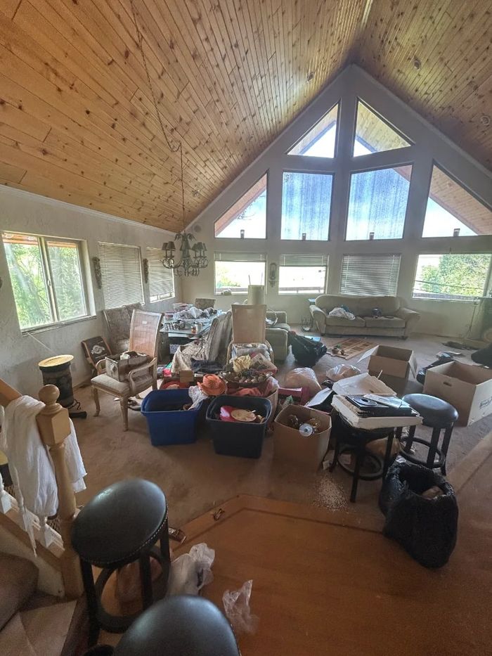 Bins and boxes staged for removal in a living room