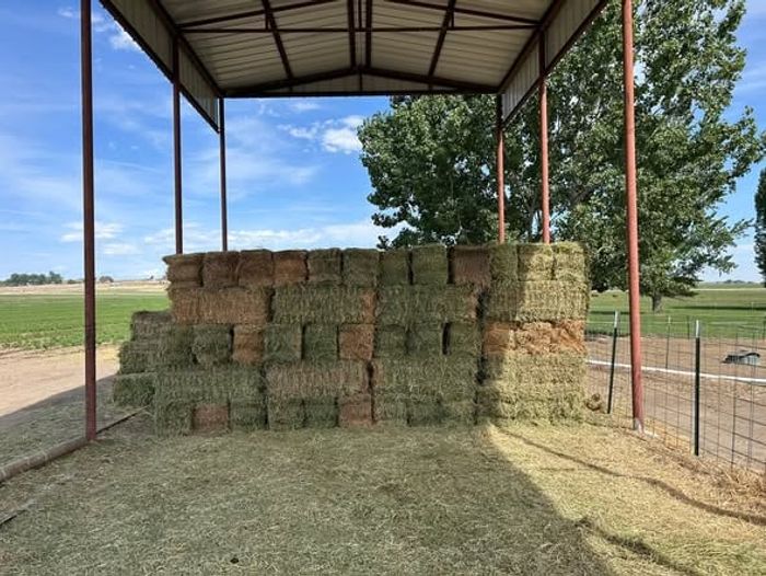 Hay bales stacked under a metal hay shed