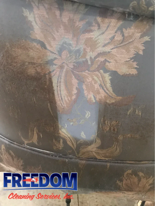 Carpet Cleaning project by Freedom Cleaning Services