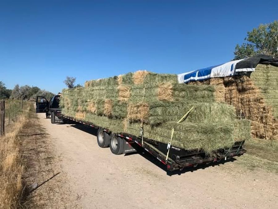 A long flatbed trailer stacked with hay bales on a dirt road