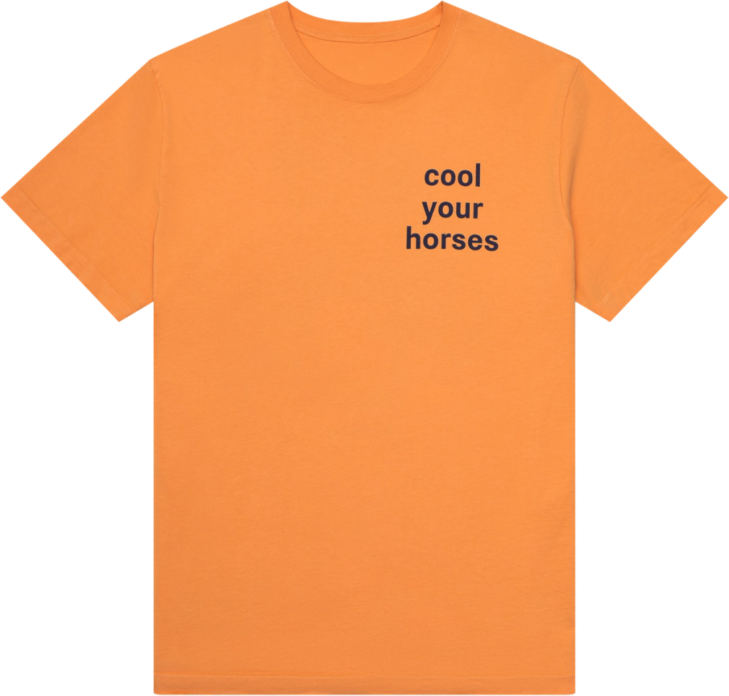 Cool Your Horses Tee Recess