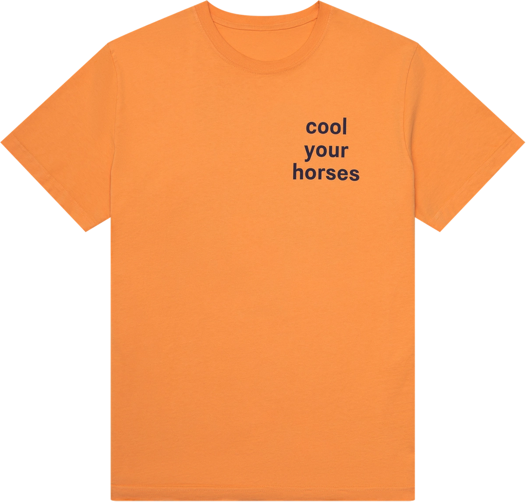 Cool Your Horses Tee Recess