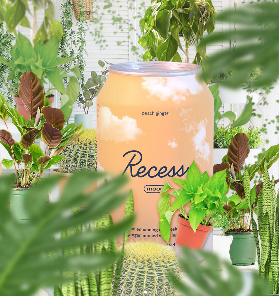 Recess Raspberry Lime lime citrus Mood | Recess