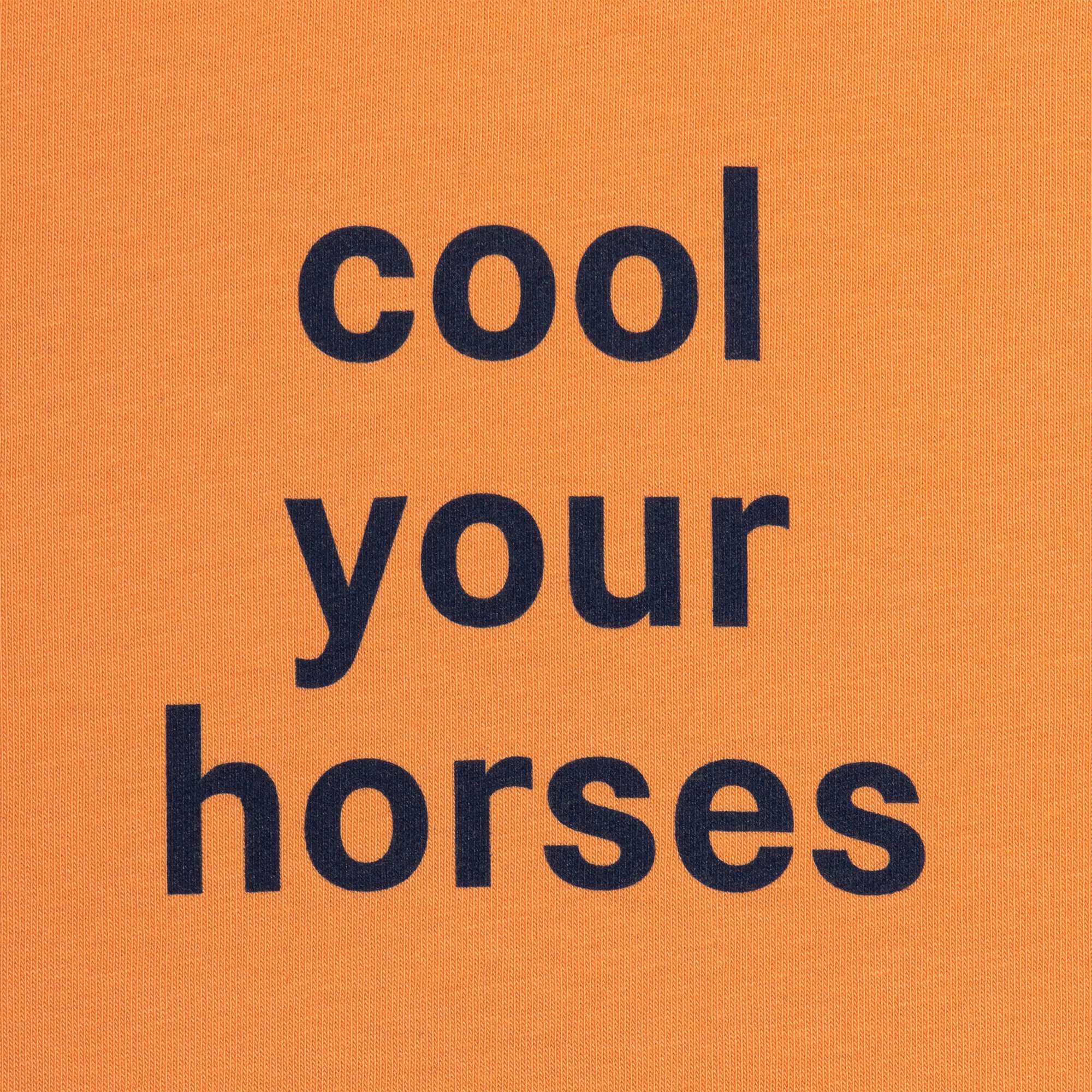 Cool Your Horses Tee Recess