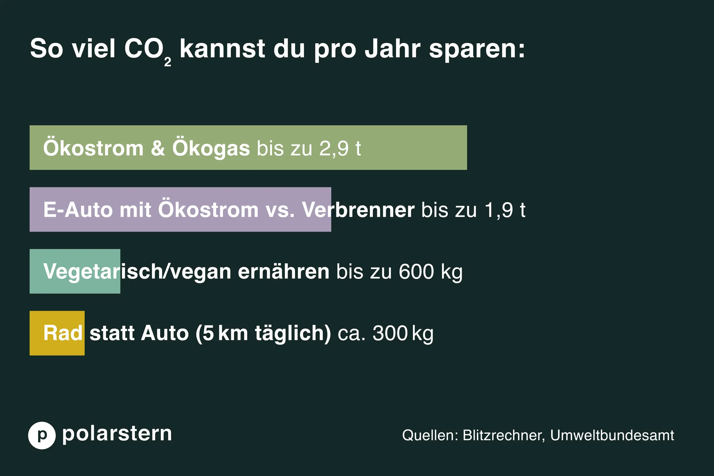 Infografik zeigt, wie viel CO2 bestimmte Maßnahmen pro Jahr einsparen: Ökostrom und Ökogas: bis 2,9 t. E-Auto: bis 2 t. Vegane Ernährung: bis 600 kg. Rad statt Auto: ca. 300 kg.