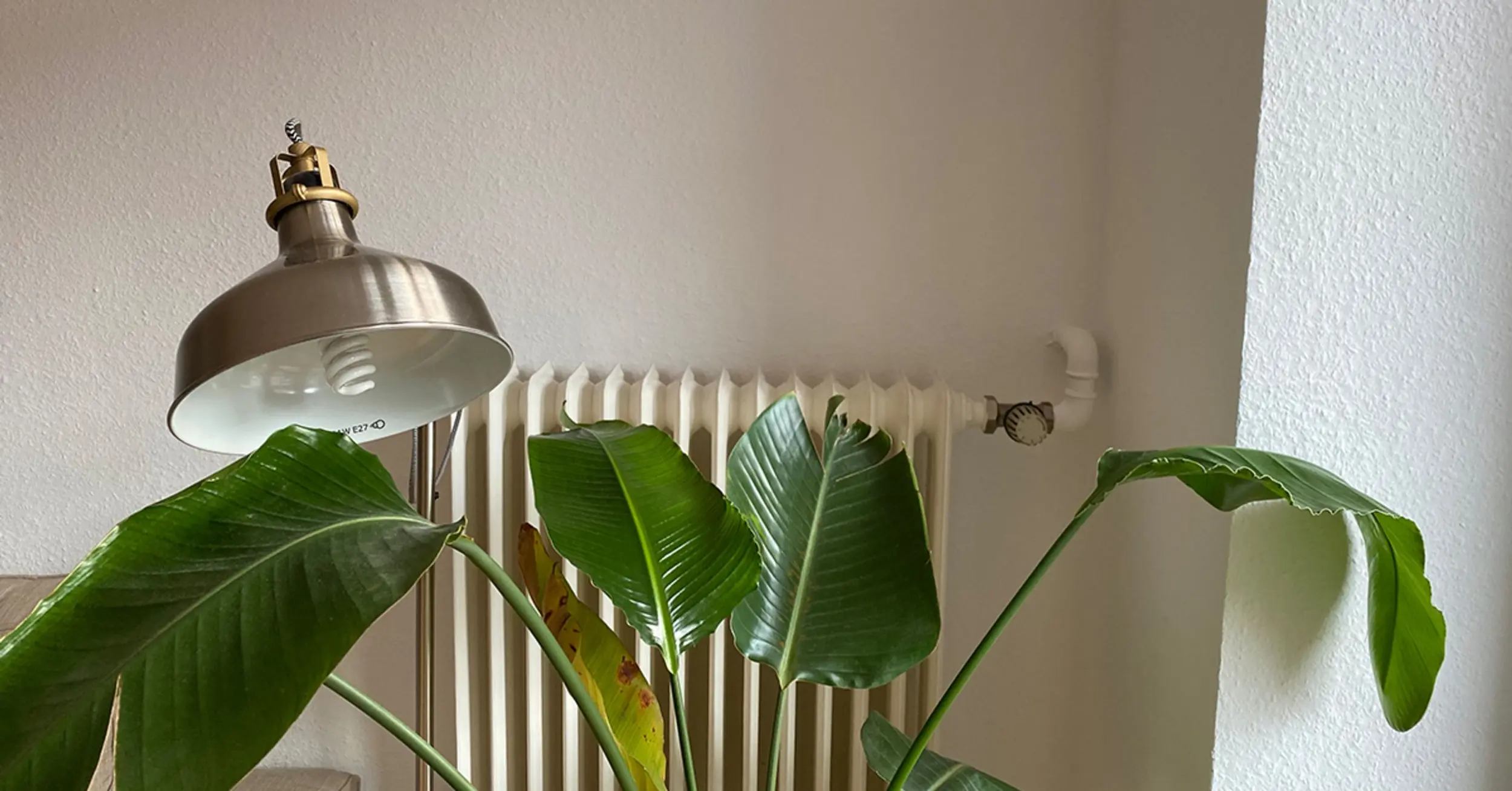 Thermostat einer Heizung