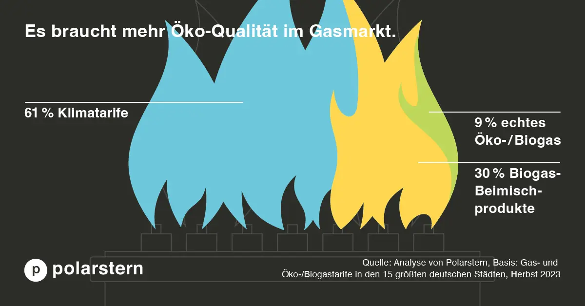 Markt-Überblick Ökogastarife 2023