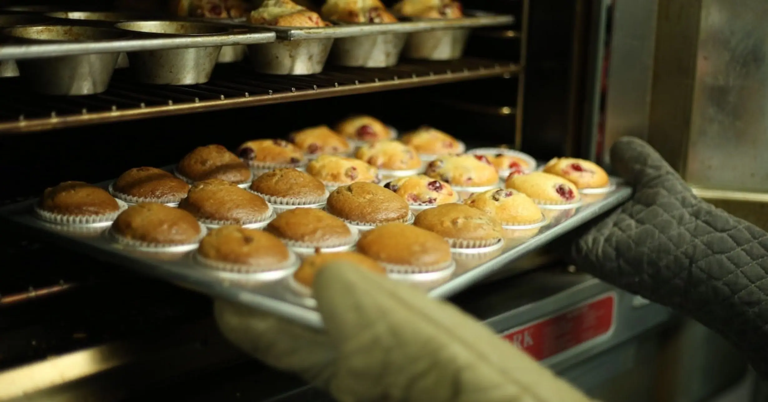 Muffins aus dem Ofen