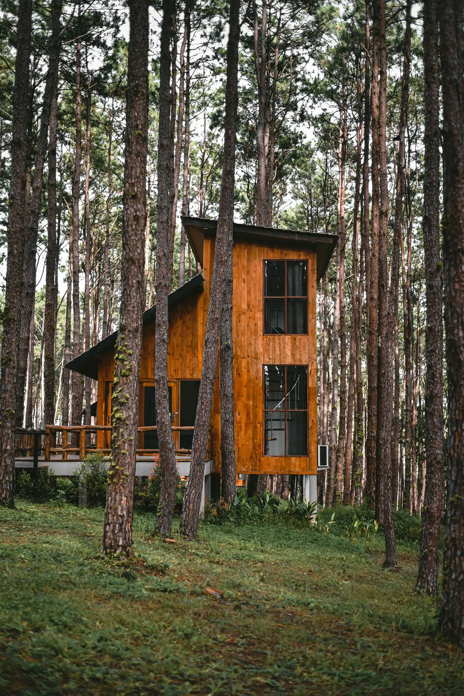 Modernes Holzhaus im Wald
