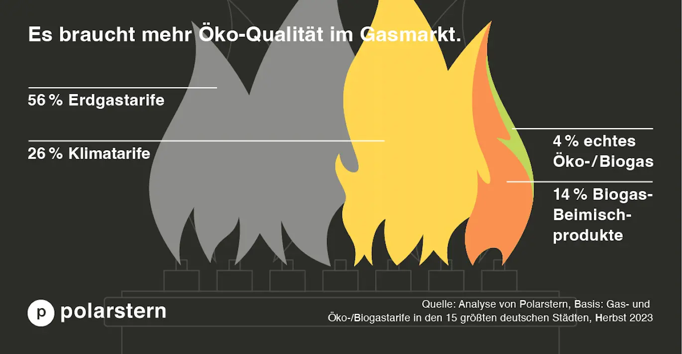 Grafik zur Qualität von Gastarifen: 56 % Ergastarife, 26 % Klimatarife, 14 % Biogas-Beimischprodukte, 4 % echtes Öko-/Biogas,