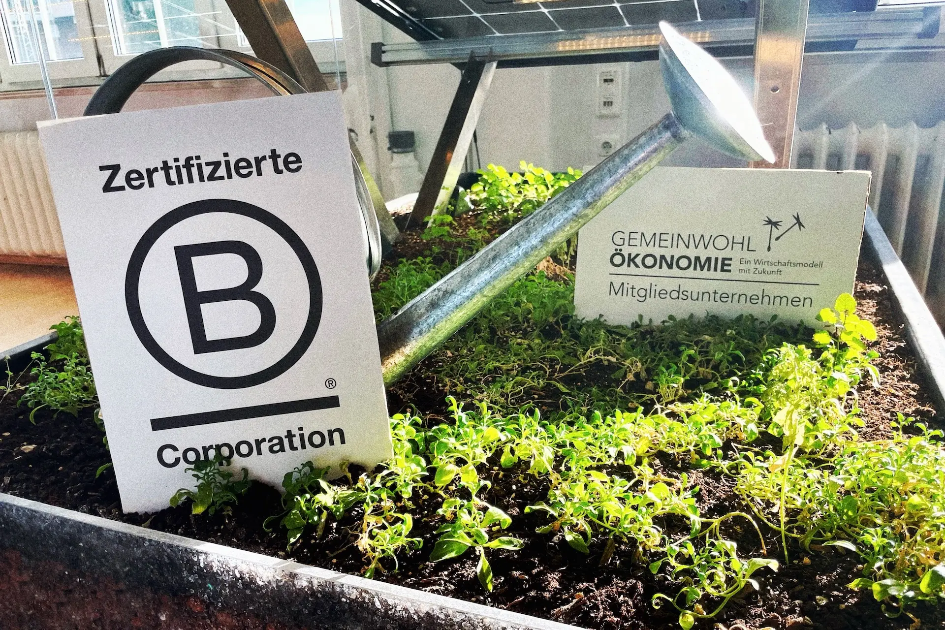 B Corp und GWÖ Logo