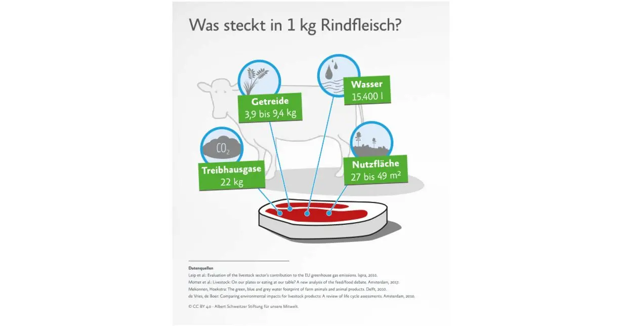 Quelle: Albert Schweitzer Stiftung für unsere Mitwelt Was steckt in 1 kg Rindfleisch?