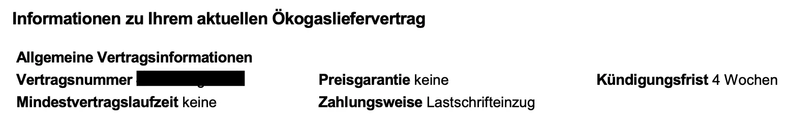 Gasrechnungsbeispiel: Vertragsbedingungen