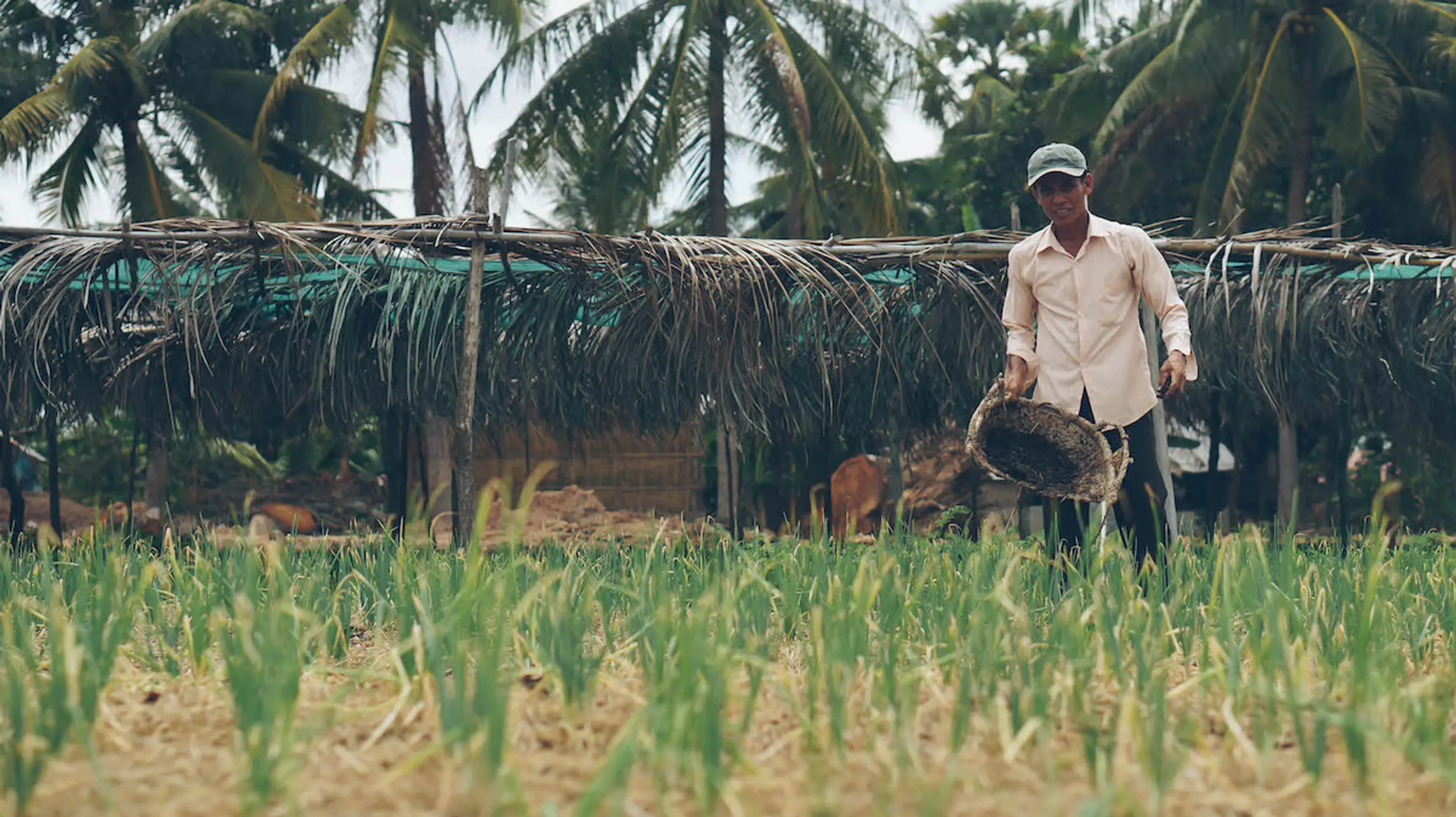 Social Businesses mit Impact