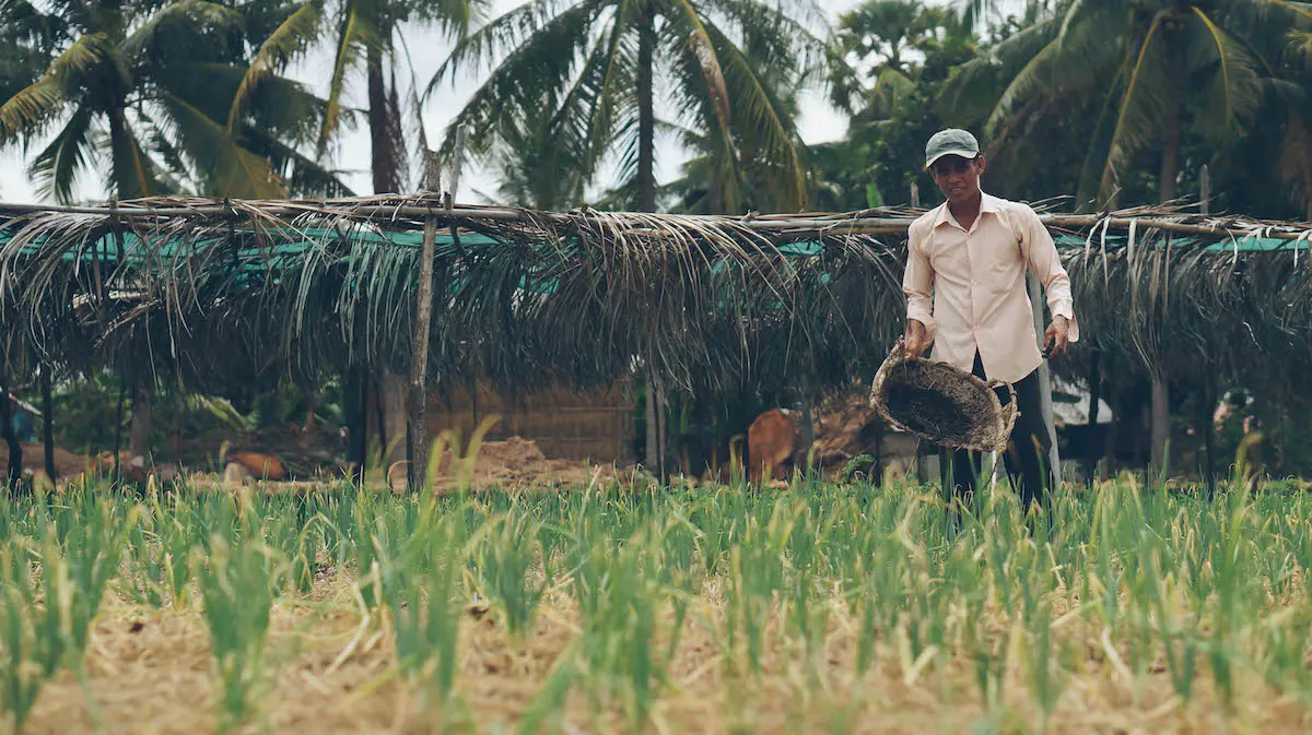 Social Businesses mit Impact