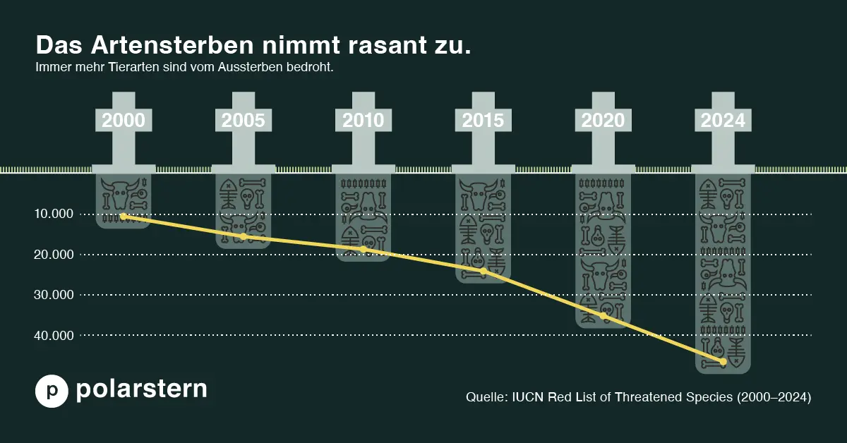 Infografik zeigt, dass das Artensterben auf der Welt von 2000 bis 2024 dramatisch zugenommen hat