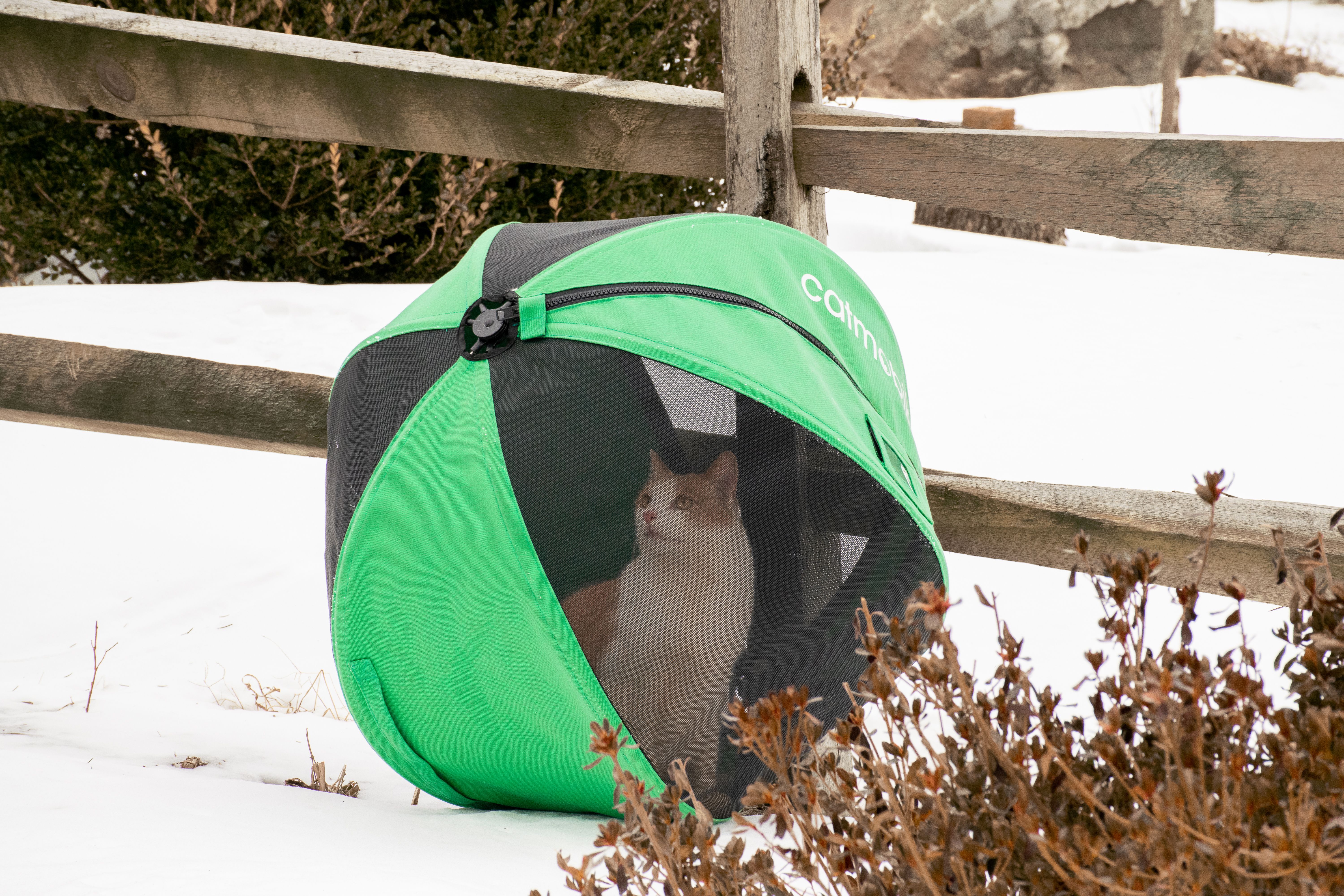 Catmobile™ – Supervised Exploration for Your Indoor Cat