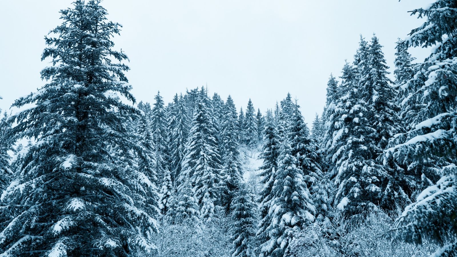 Safety on the slopes, the Piste X Code