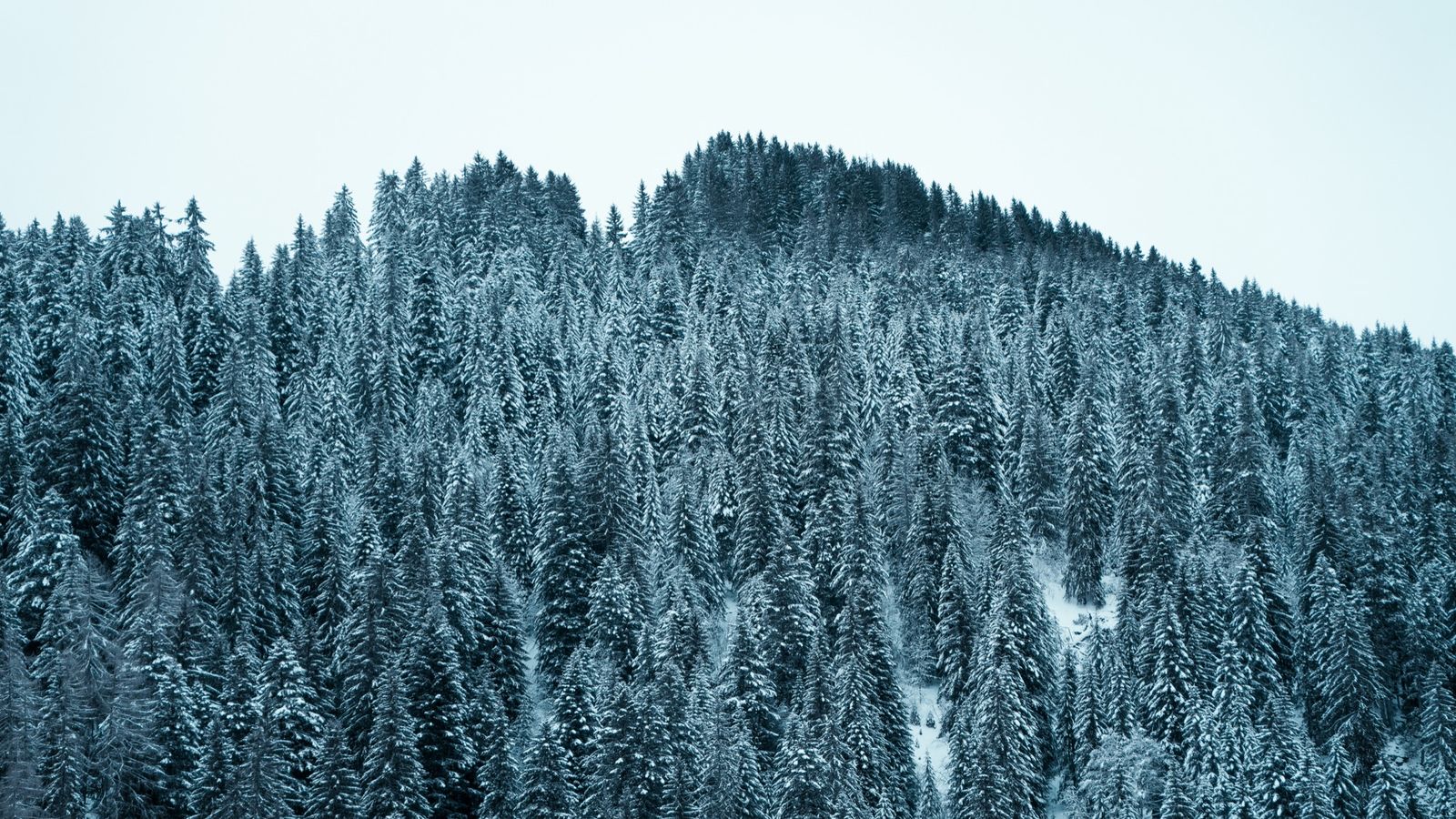 Essential pre-holiday checklist for a perfect ski trip