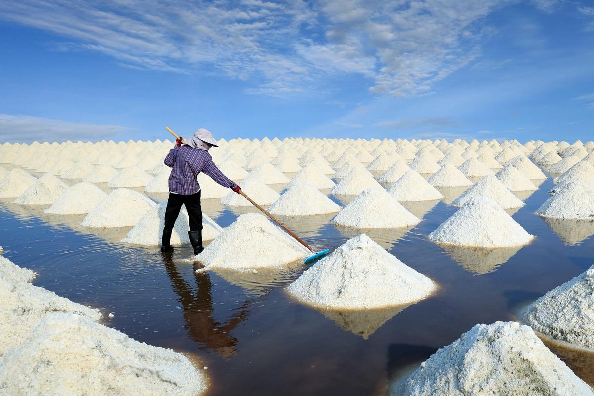 Worker Harvesting salt in salt field at Ban Laem-Thailand