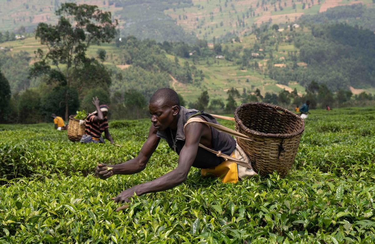 A man in Rwanda tending to some crops