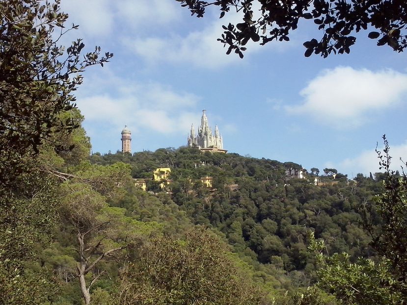 Collserola Park