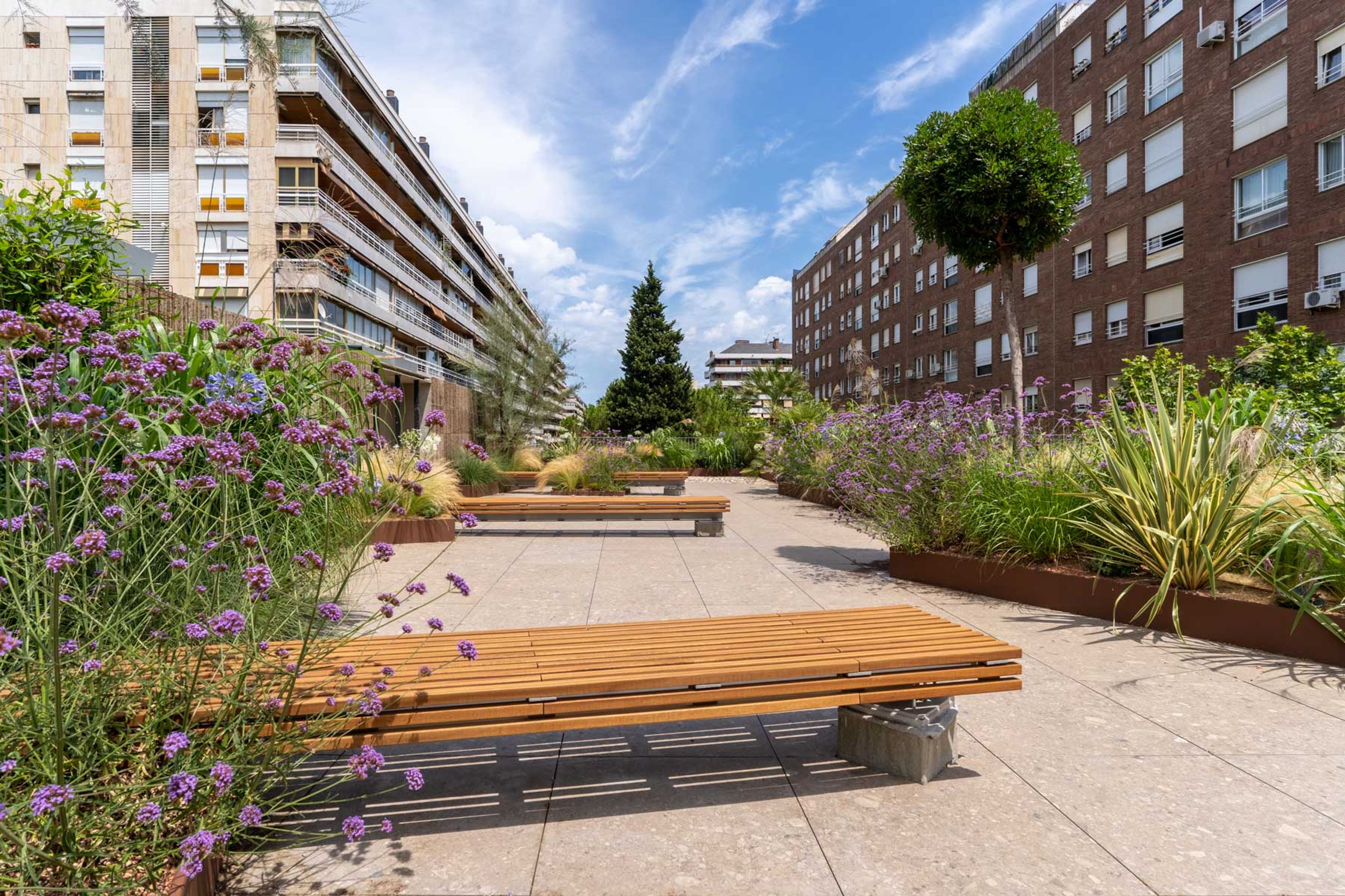 Pedro Pons green roofs