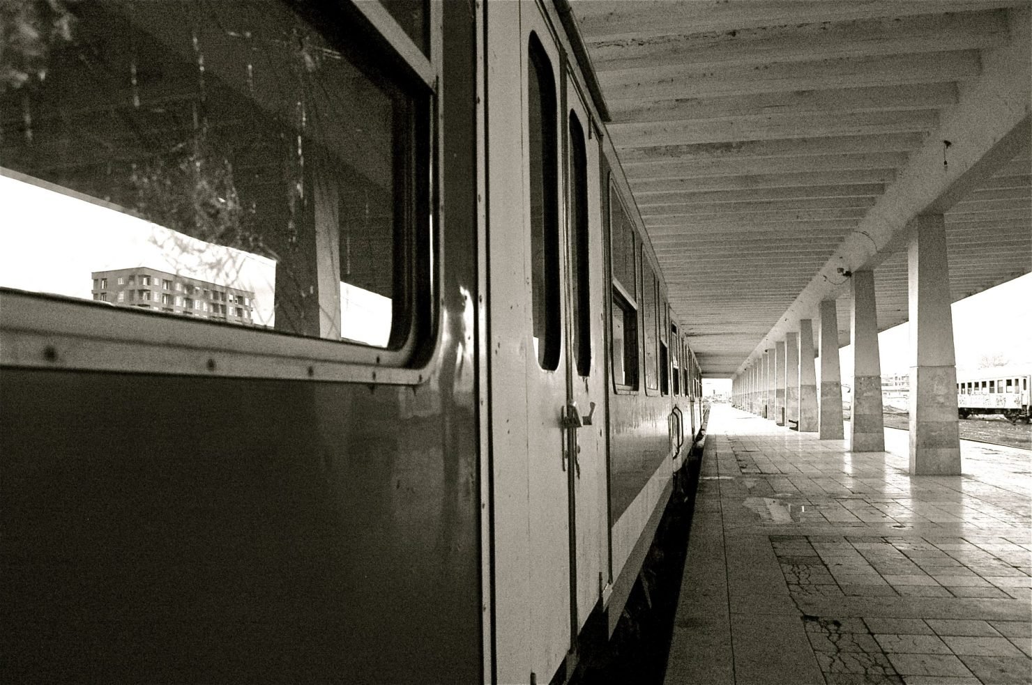 Our Collective Memory — No More Qofte by the Train. By Eda Zari