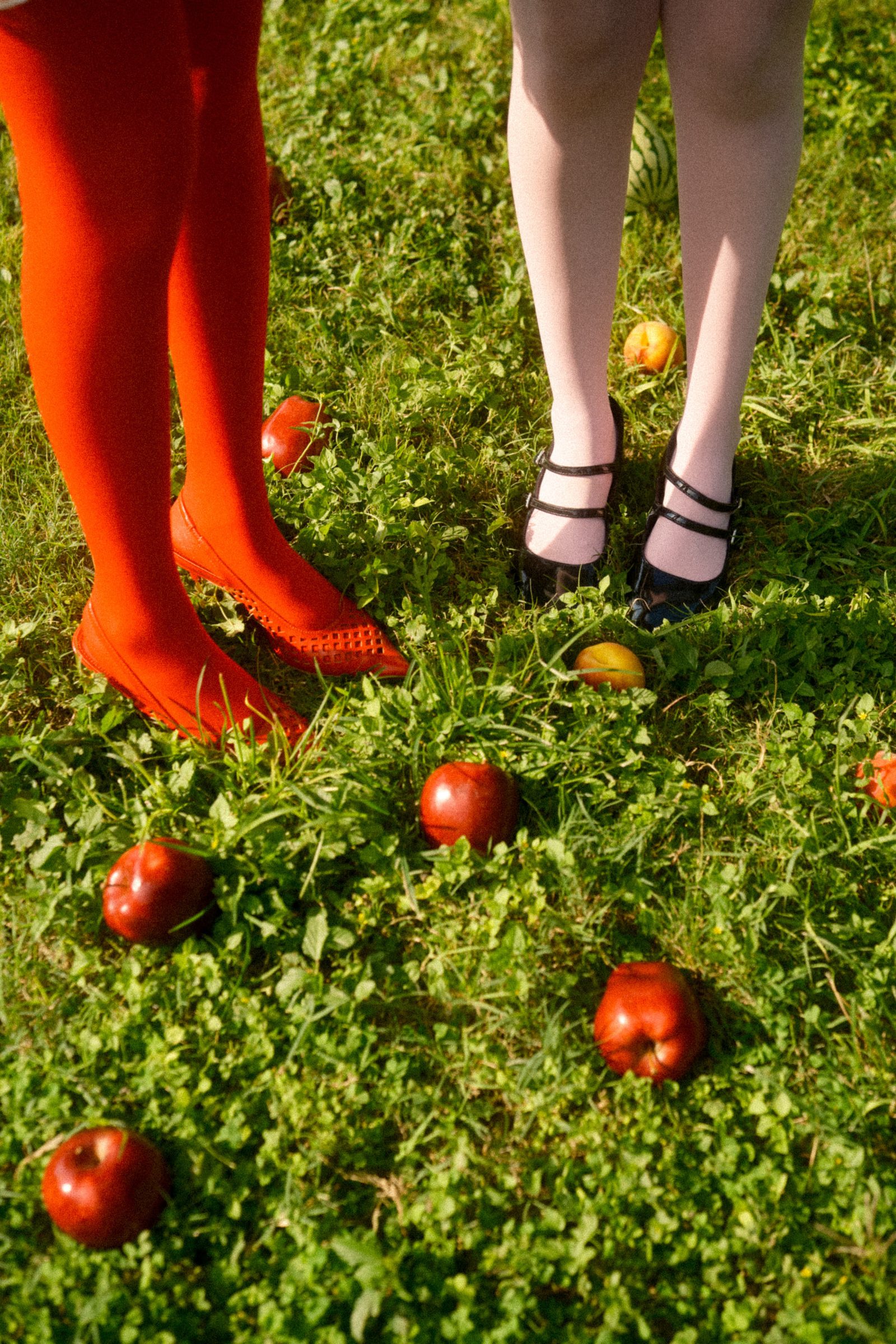 Two models’ legs in white and red tights standing on grass surrounded by scattered red apples.