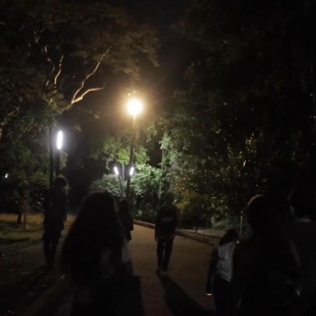 Imagen de Recorrido biodiverso nocturno