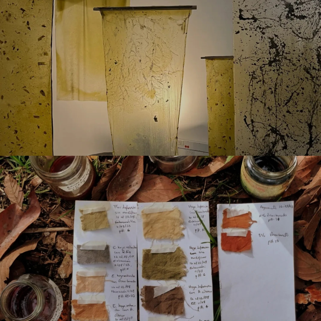 Imagen de Exposición | Laboratorio vivo. Experiencias artísticas botánicas