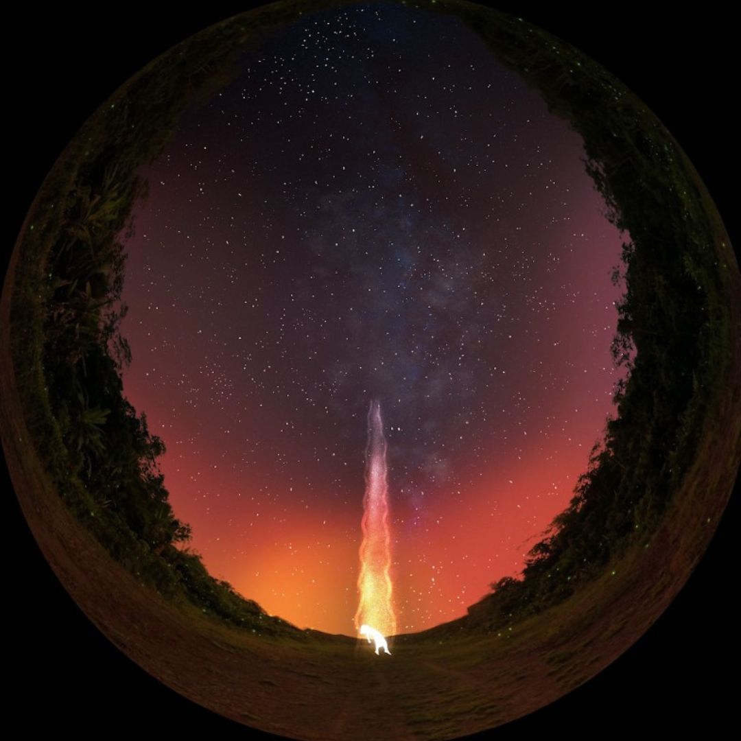 Imagen de Proyección | DomoArte | Premier